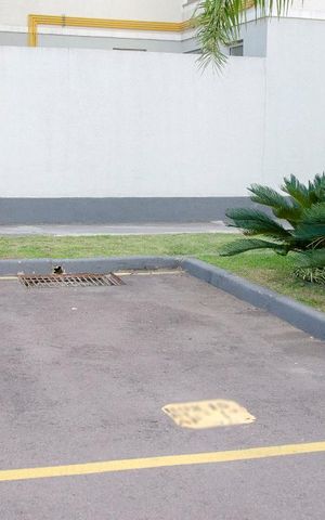 Apartamento para alugar com 42m², 2 quartos e 1 vaga Apartamento para alugar com 42m², 2 quartos e 1 vagaÁrea comum