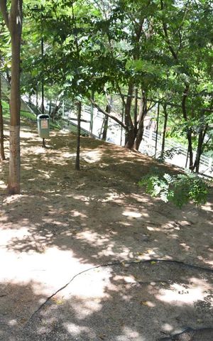Apartamento à venda com 52m², 2 quartos e 1 vagaÁrea comum - Parcão