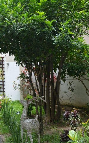 Apartamento à venda com 61m², 2 quartos e 1 vagaÁrea comum