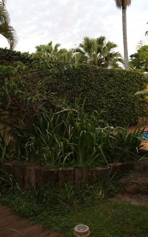 Casa para alugar com 438m², 4 quartos e 5 vagasÁrea Externa
