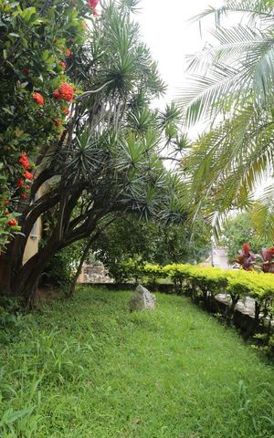 Apartamento para alugar com 800m², 5 quartos e 7 vagasJardim Externo