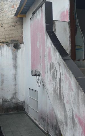 Casa à venda com 240m², 2 quartos e 2 vagasQuintal