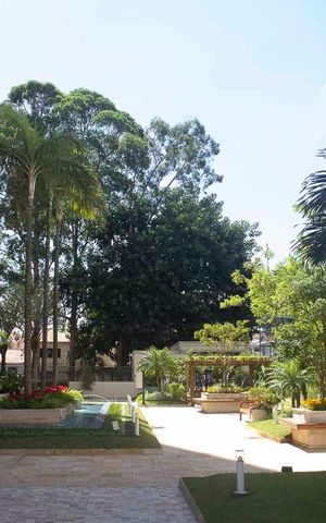 Apartamento à venda com 242m², 3 quartos e 4 vagasÁrea comum