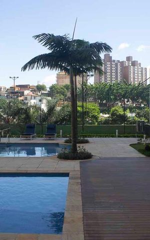 Apartamento à venda com 242m², 3 quartos e 4 vagasÁrea comum - Piscina