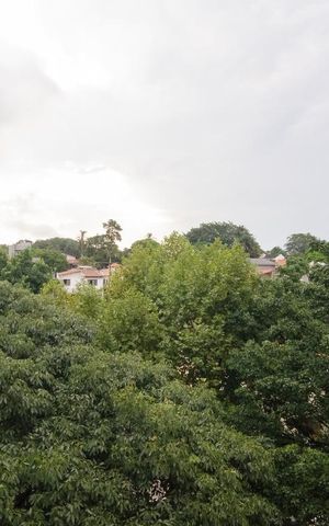 Apartamento para alugar com 63m², 2 quartos e 2 vagasvista da Sacada