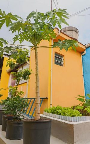 Casa à venda com 140m², 5 quartos e 5 vagas Casa à venda com 140m², 5 quartos e 5 vagasQuintal