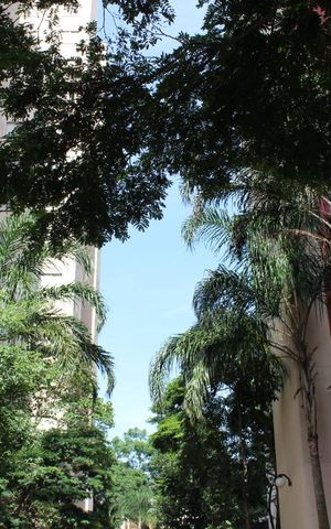 Apartamento à venda com 47m², 2 quartos e 1 vagaÁrea comum