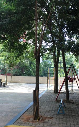 Apartamento à venda com 47m², 2 quartos e 1 vagaÁrea Comum - Playground