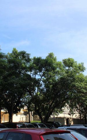 Apartamento à venda com 47m², 2 quartos e 1 vagaÁrea comum - Salão de festas