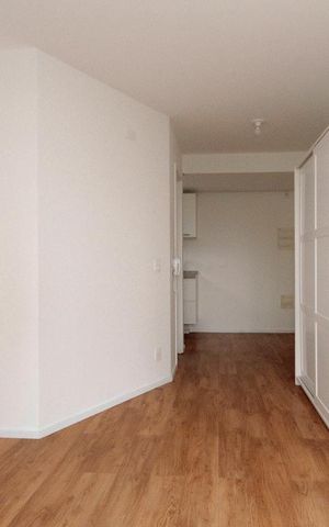 Studio para alugar com 35m², 1 quarto e sem vagaStudio