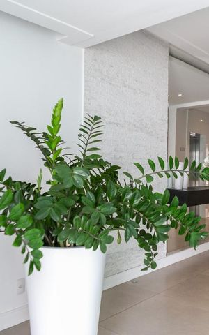 Apartamento para alugar com 51m², 1 quarto e 1 vaga Apartamento para alugar com 51m², 1 quarto e 1 vagaHall de entrada