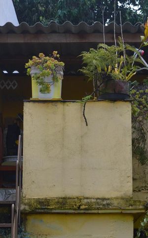 Casa à venda com 155m², 4 quartos e 2 vagasQuintal com edícula