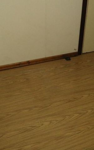 Apartamento à venda com 77m², 2 quartos e 1 vagaQuarto 2