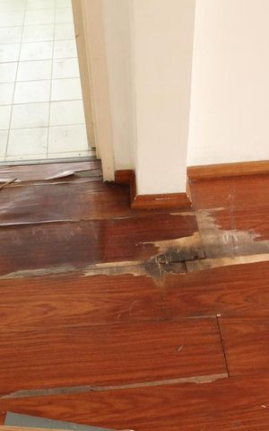 Apartamento à venda com 57m², 2 quartos e 1 vagaDetalhe Sala