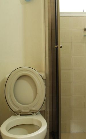 Apartamento à venda com 57m², 2 quartos e 1 vagaBanheiro 1