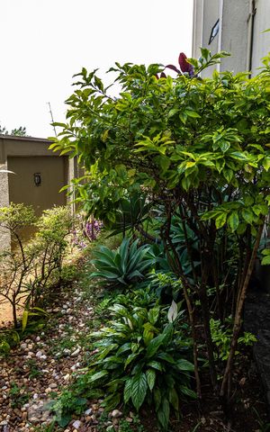 Apartamento à venda com 38m², 1 quarto e 1 vaga Apartamento à venda com 38m², 1 quarto e 1 vagaÁrea Comum - Jardim