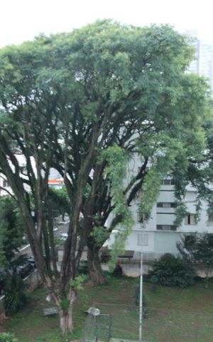 Apartamento à venda com 140m², 4 quartos e 1 vagaVista da Copa