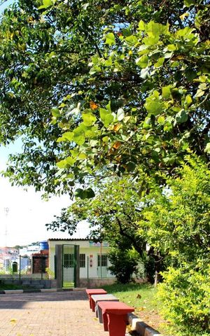 Apartamento à venda com 68m², 2 quartos e 1 vagaÁrea Externa