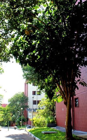 Apartamento à venda com 68m², 2 quartos e 1 vagaÁrea comum