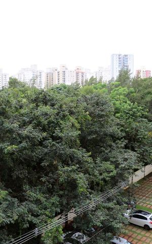 Apartamento para alugar com 60m², 3 quartos e 1 vagaVaranda da Sala vista
