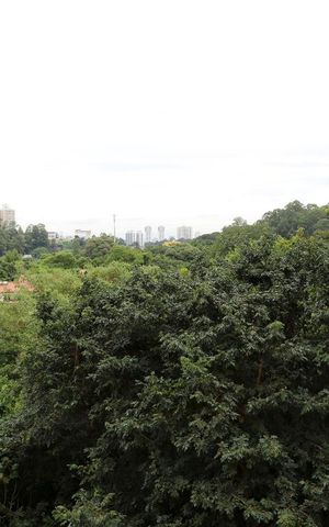 Apartamento para alugar com 60m², 3 quartos e 1 vagaVista Varanda da Sala