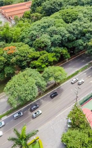 Studio para alugar com 30m², 1 quarto e sem vagaVista