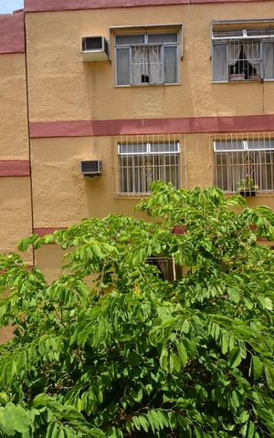 Apartamento à venda com 50m², 2 quartos e 1 vagaVista do Quarto 1