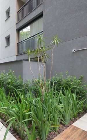 Studio à venda com 27m², 1 quarto e sem vagaArea Comum