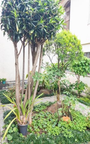 Casa à venda com 354m², 4 quartos e 6 vagas Casa à venda com 354m², 4 quartos e 6 vagasÁrea Externa
