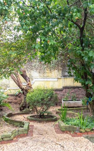 Casa à venda com 500m², 5 quartos e 5 vagasJardim