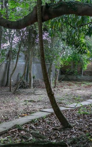 Casa à venda com 320m², 5 quartos e 6 vagas Casa à venda com 320m², 5 quartos e 6 vagasQuintal