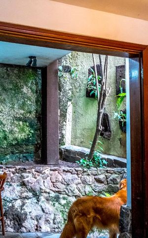 Apartamento à venda com 180m², 4 quartos e 1 vagaEntrada Área verde e Cozinha