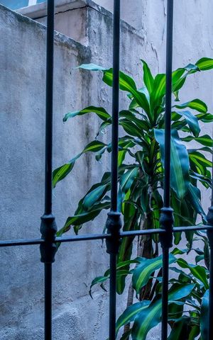Apartamento à venda com 180m², 4 quartos e 1 vagaVista da Suíte