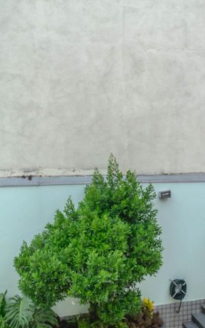 Casa para alugar com 260m², 4 quartos e 6 vagas Casa para alugar com 260m², 4 quartos e 6 vagasVista do Quarto 2