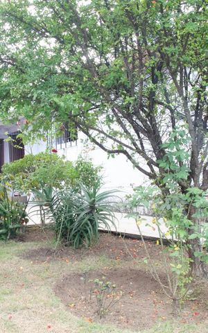 Casa à venda com 278m², 2 quartos e 1 vagaPomar