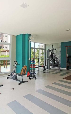 Apartamento à venda com 55m², 2 quartos e 1 vagaÁrea comum - Academia