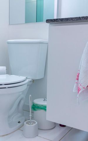 Apartamento à venda com 57m², 2 quartos e 1 vagaBanheiro da Suíte