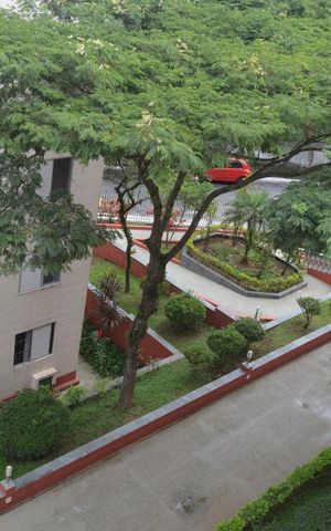 Apartamento à venda com 74m², 3 quartos e 1 vagaVista da janela da Sala