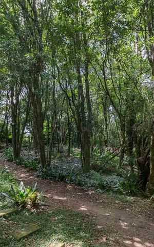 Casa de condomínio à venda com 220m², 3 quartos e 2 vagas Casa de condomínio à venda com 220m², 3 quartos e 2 vagasarea verde preservada