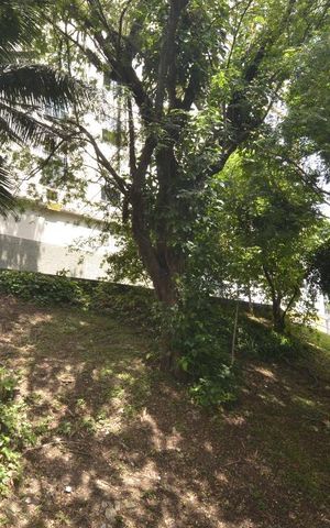Apartamento para alugar com 54m², 1 quarto e sem vagaVista