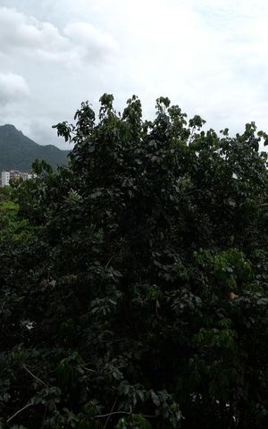 Apartamento para alugar com 105m², 3 quartos e 2 vagasQuarto 1 Vista