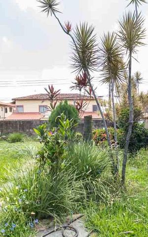 Casa para alugar com 460m², 4 quartos e 6 vagas