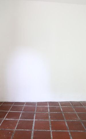 Casa para alugar com 238m², 3 quartos e 2 vagasEdícula