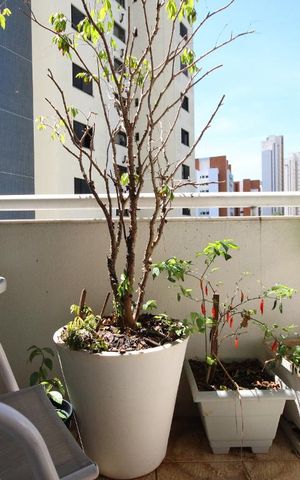 Apartamento à venda com 88m², 2 quartos e 2 vagasVaranda da Sala