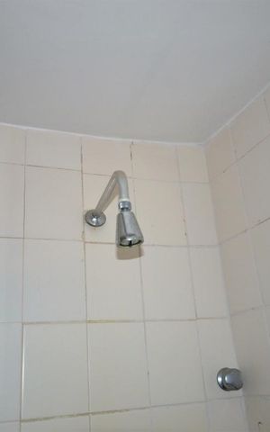 Apartamento à venda com 175m², 4 quartos e 1 vagaChuveiro