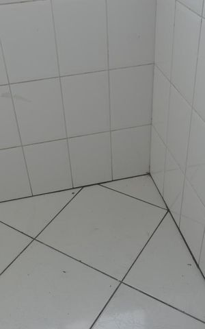 Apartamento à venda com 58m², 2 quartos e 2 vagasÁrea de Serviço