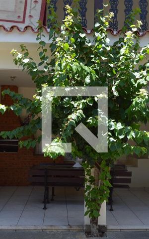 Casa à venda com 225m², 3 quartos e 3 vagasQuintal dos  fundos 