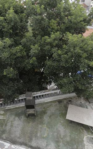 Casa à venda com 412m², 6 quartos e 4 vagasVista da Cozinha