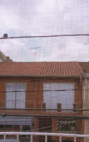Casa à venda com 60m², 2 quartos e sem vaga Casa à venda com 60m², 2 quartos e sem vagaVista