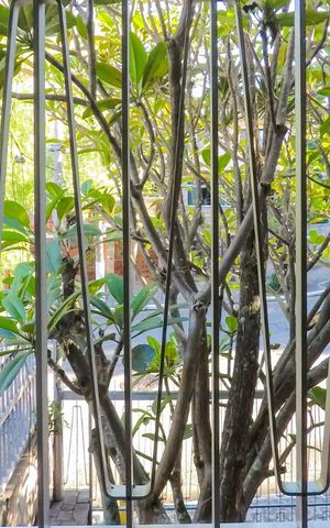 Casa para alugar com 240m², 5 quartos e 4 vagasQuarto 2